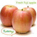 Fresh fruit import red Fuji apple from China